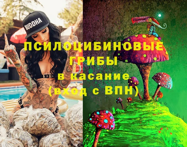 ешки Козельск