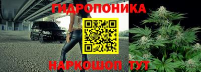 прущие грибы Изобильный