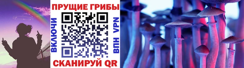 мега рабочий сайт  Малгобек  Псилоцибиновые грибы мухоморы 